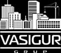Vasigur grup